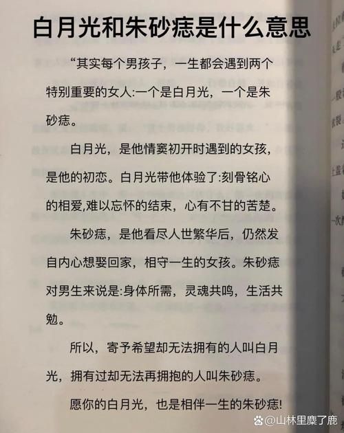 白月光和朱砂痣：你更喜欢哪一种？解读词语背后的故事