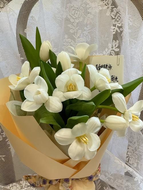 白色郁金香代表什么含义？送人白郁金香合适吗？