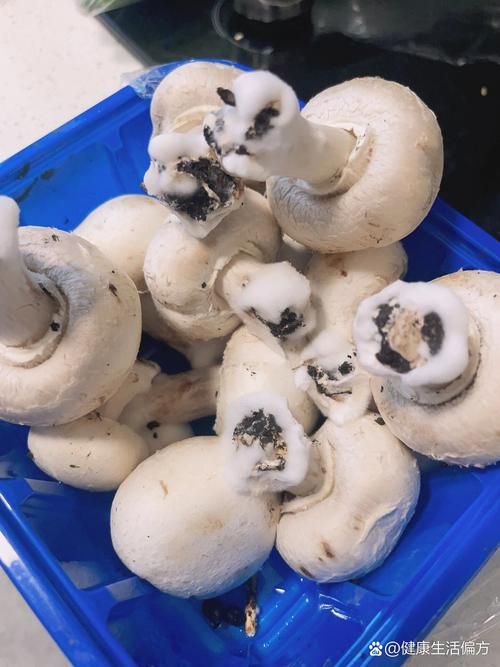 白蘑菇放冰箱几天后变黑，还能食用吗？怎样保存？