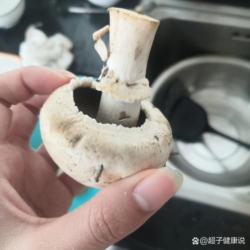 白蘑菇放冰箱几天后变黑，还能食用吗？怎样保存？