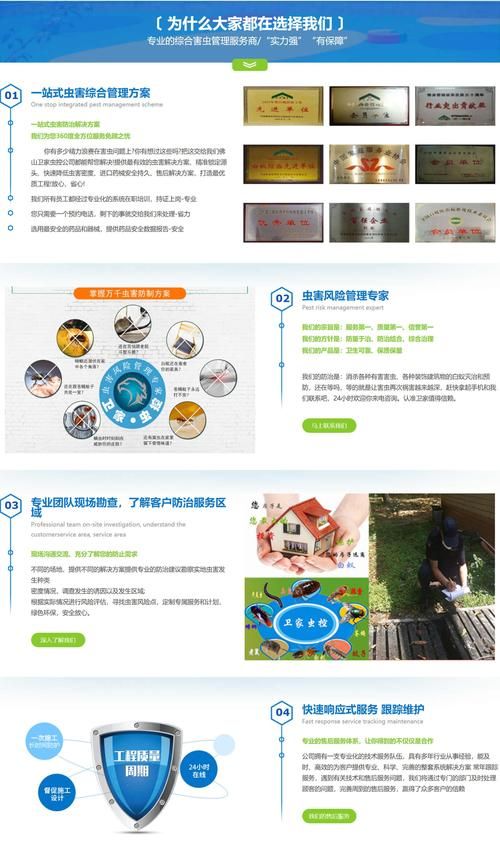 白蚁泛滥怎么办？穿山甲守护森林，功不可没！