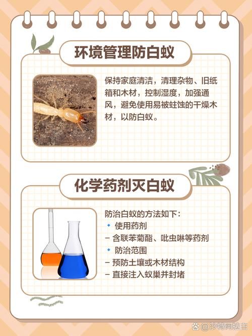 白蚁泛滥怎么办？穿山甲守护森林，功不可没！