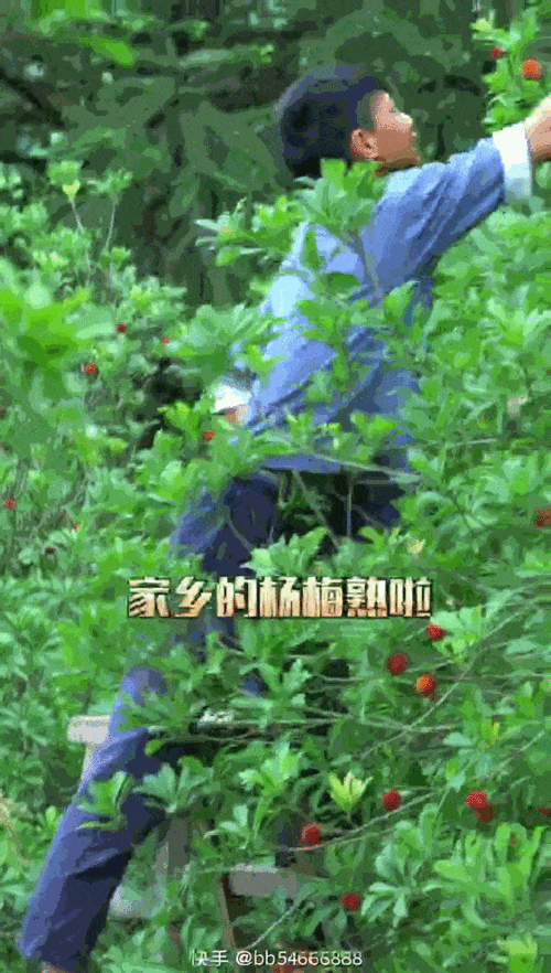 白雨涵力作：龙骑士的快乐，你向往的骑士生活
