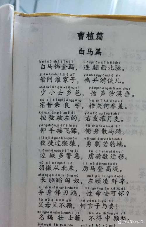 白马踏新泥歌曲赏析：歌词背后的故事和情感