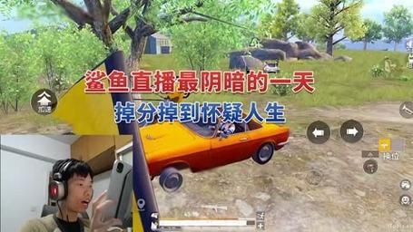 白鲨直播间：寻找白鲨直播间的正确方法，轻松观看直播！