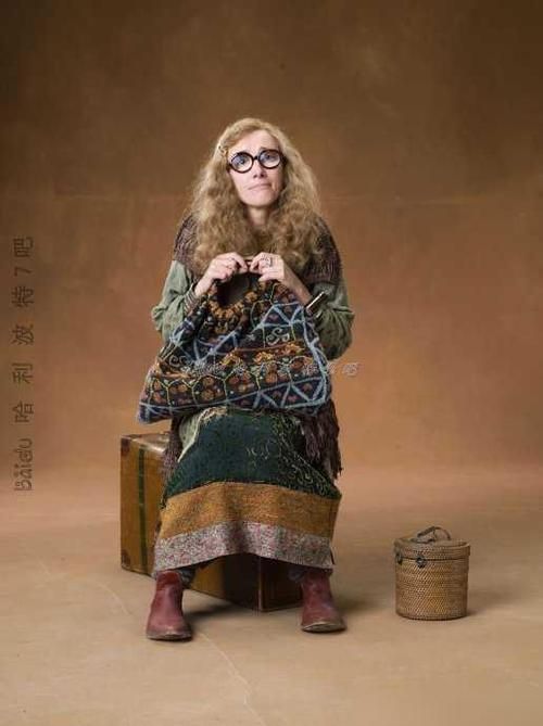 百发百中的预言家：揭秘特里劳妮教授的神秘