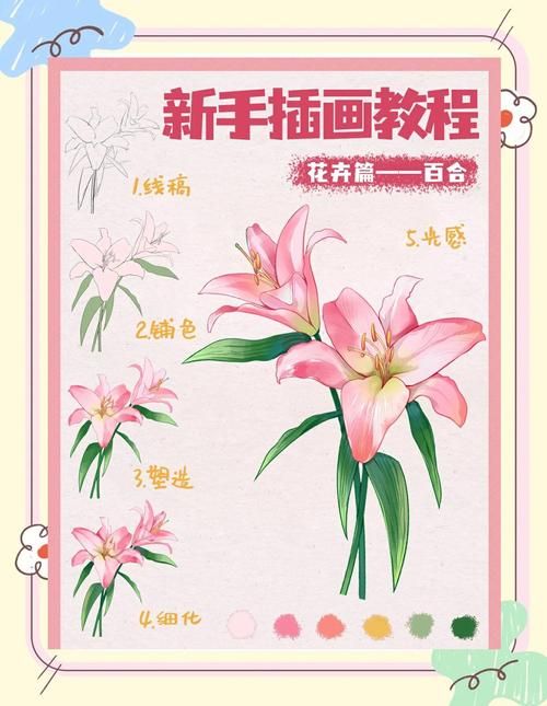 百合一般怎么玩？新手入门指南及技巧详解