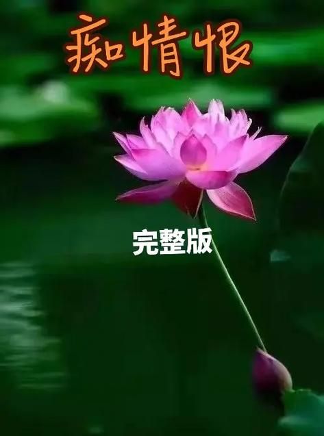 百听不厌的情系二人转：歌词赏析及演唱技巧