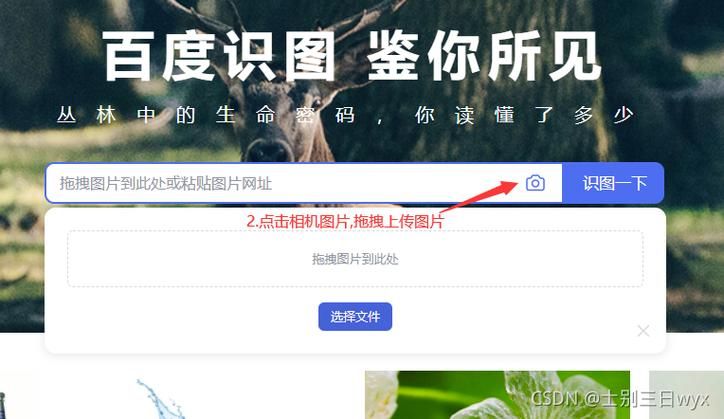 百度图片搜索图片识别：快速找到你想要的图片