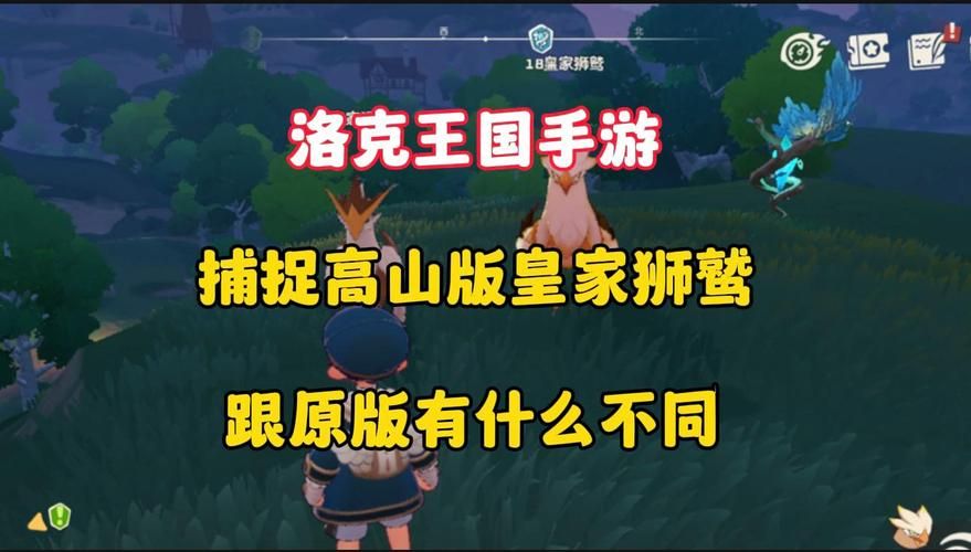 皇家狮鹫好不好用？洛克王国玩家深度评测