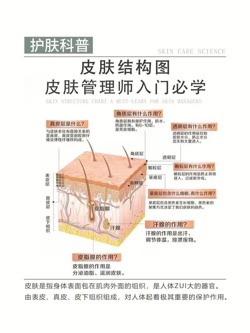 皮肤不好别着急，这些皮肤查询APP帮你忙