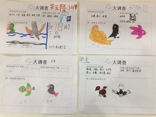 益虫益鸟有哪些？帮你认识这些田园卫士