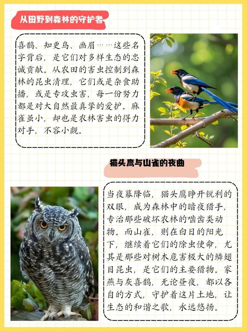 益虫益鸟有哪些？帮你认识这些田园卫士