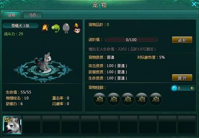 盛世OL游戏攻略：职业选择、技能搭配及PK技巧详解
