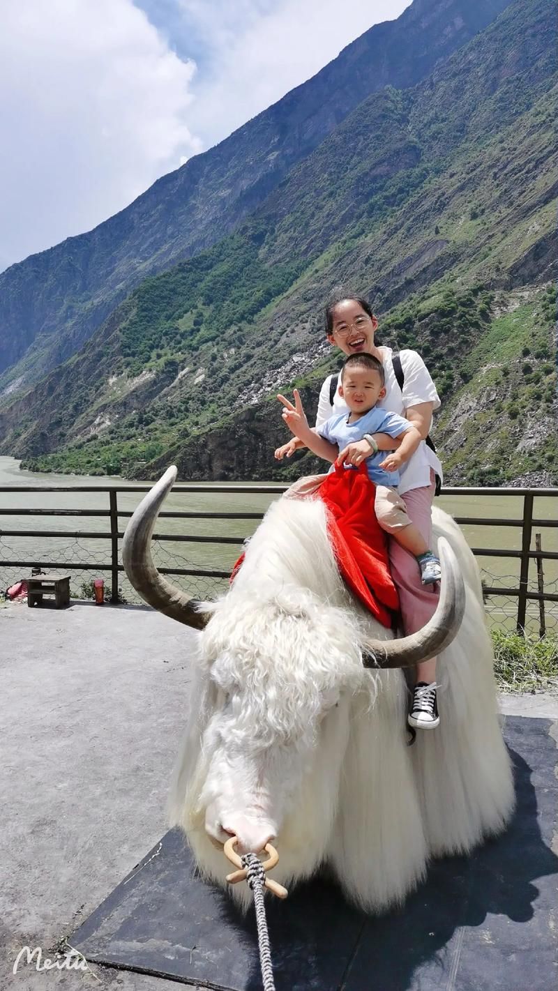 真实版牦牛坐骑？藏族小孩的独特出行方式
