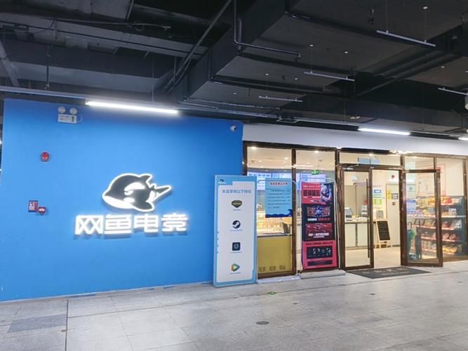 真心网吧代理：低成本高收益的致富选择