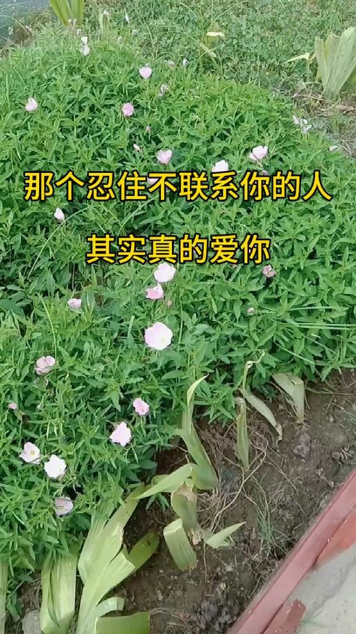 真情实感！如果不是你我不会相信，友谊如此珍贵