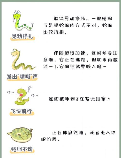 真蛇单人攻略速成指南：快速掌握通关技巧