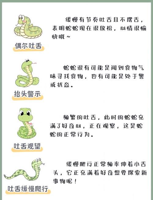 真蛇单人攻略速成指南：快速掌握通关技巧