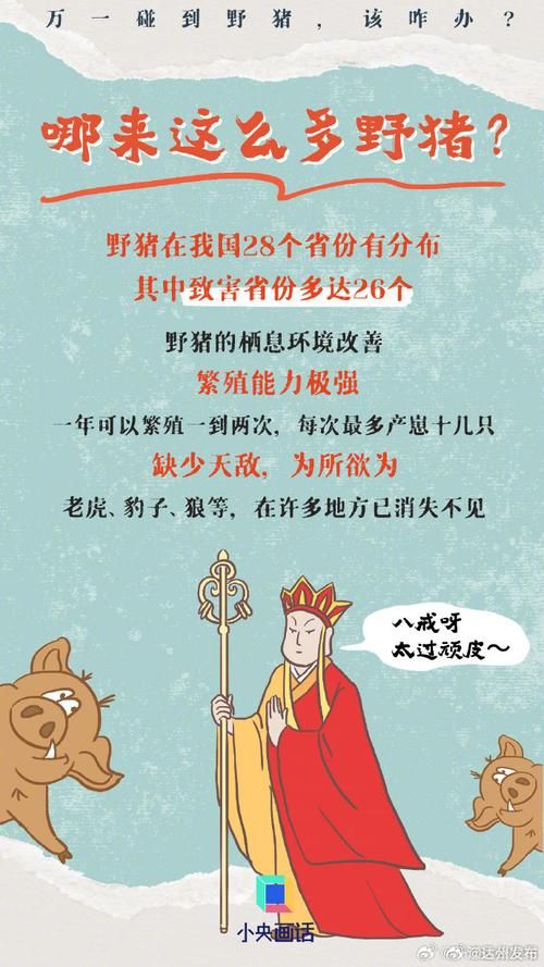 真野猪怎么打？野外遭遇真野猪求生指南