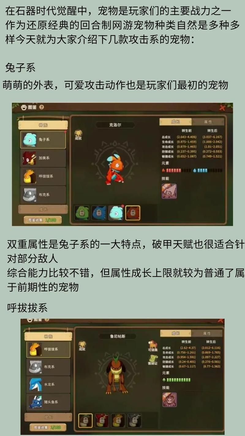 石器时代OL宠物养成技巧，打造最强战队！