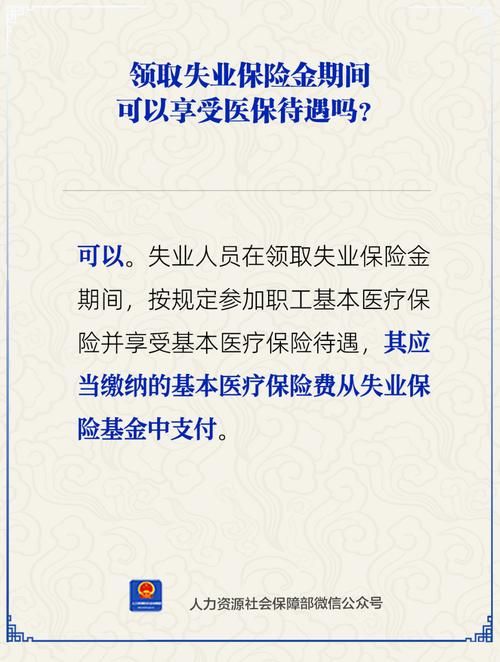 石家庄人社公共服务平台：养老保险、失业金，轻松在线查