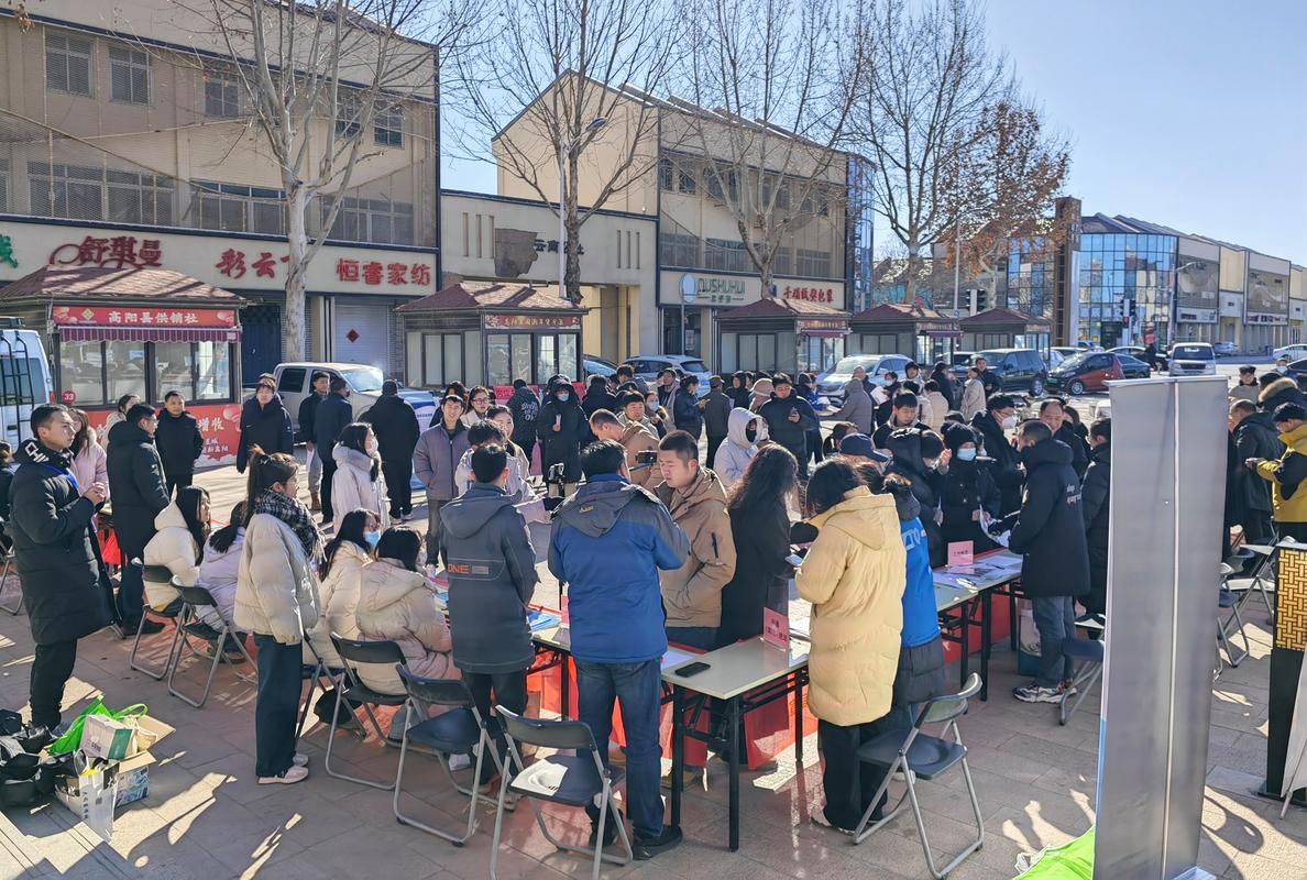 石家庄人社平台：线上线下全覆盖，办事效率大大提升