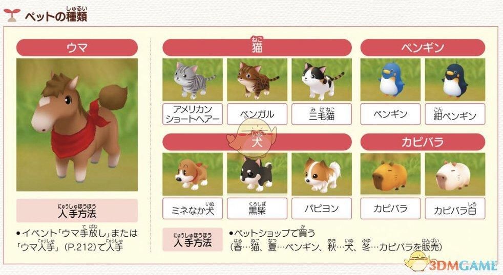 矿石镇的伙伴们攻略：全人物好感度提升指南