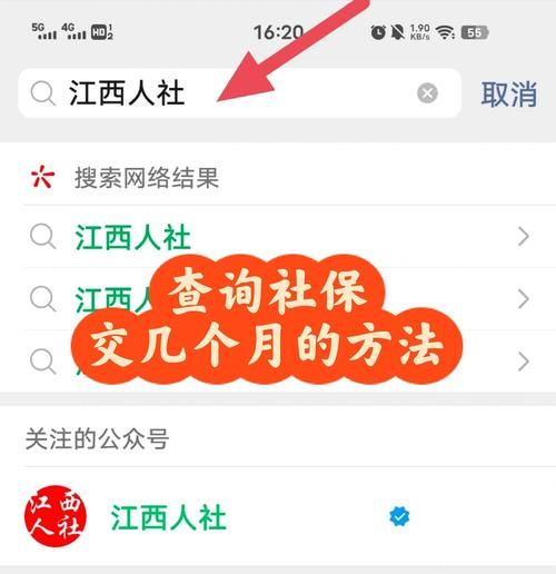 社保缴费证明查询难？教你几招轻松搞定社保信息查询