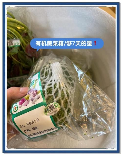 社区团购蔬菜新鲜又方便，省时省力好选择！