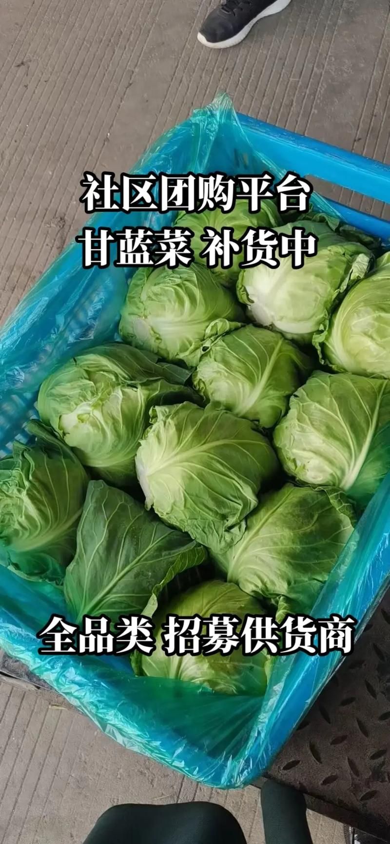 社区团购蔬菜新鲜又方便，省时省力好选择！