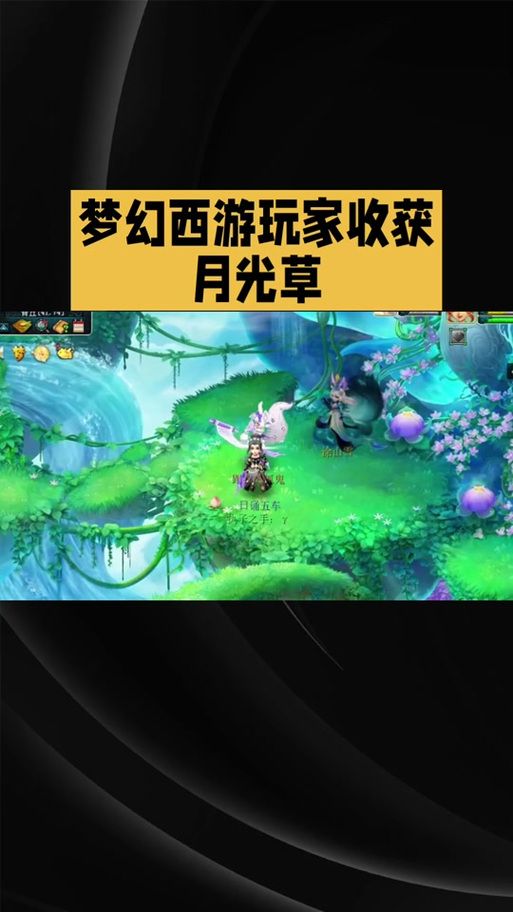 神器月光草之逝：新手玩家也能快速上手