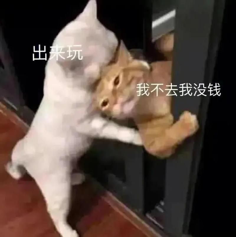 神图！范志毅表情包大放送，网友：太解气了