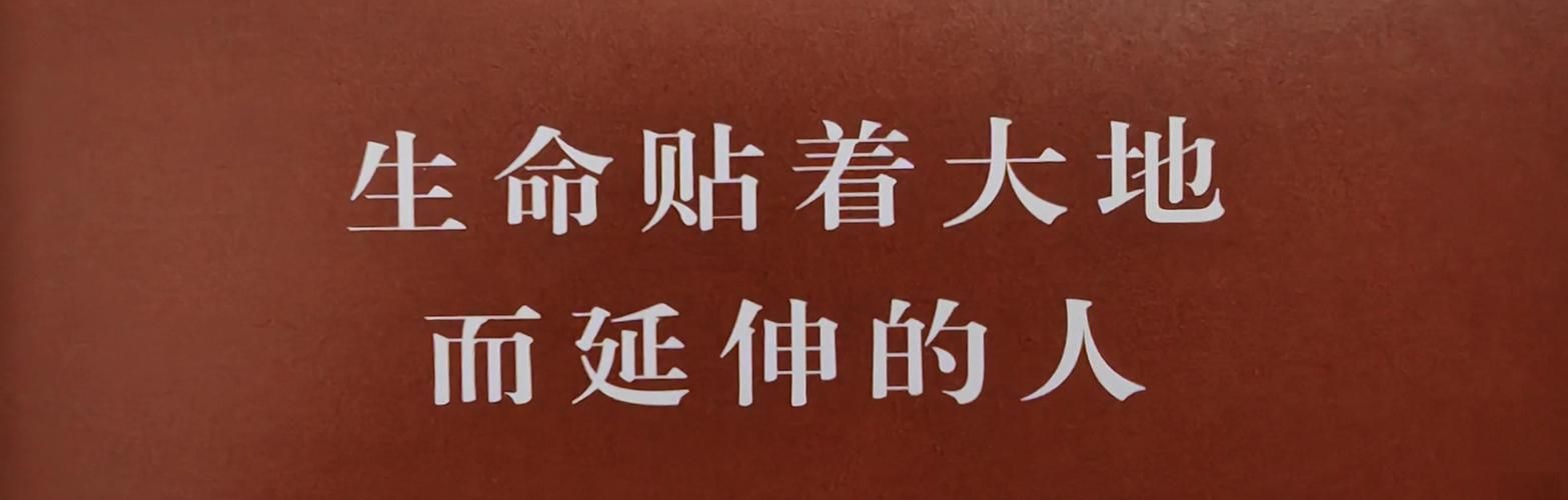 神圣复仇者：从普通铁剑到神器，信念的力量