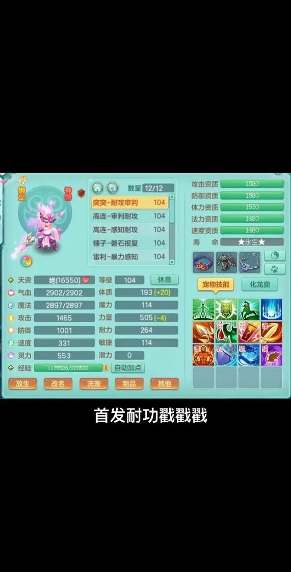 神武4端游萌宠养成系统，带你体验快乐养成