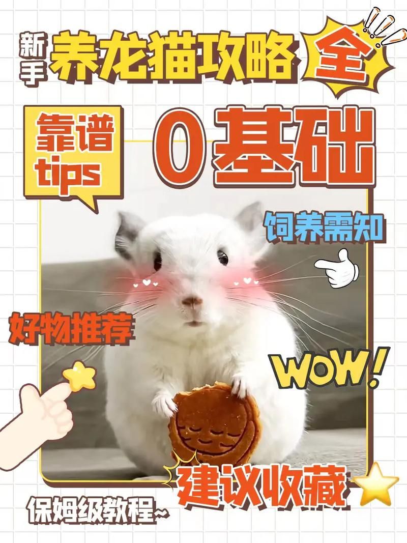 神武小伙伴喂养指南：提升忠诚度的方法大全