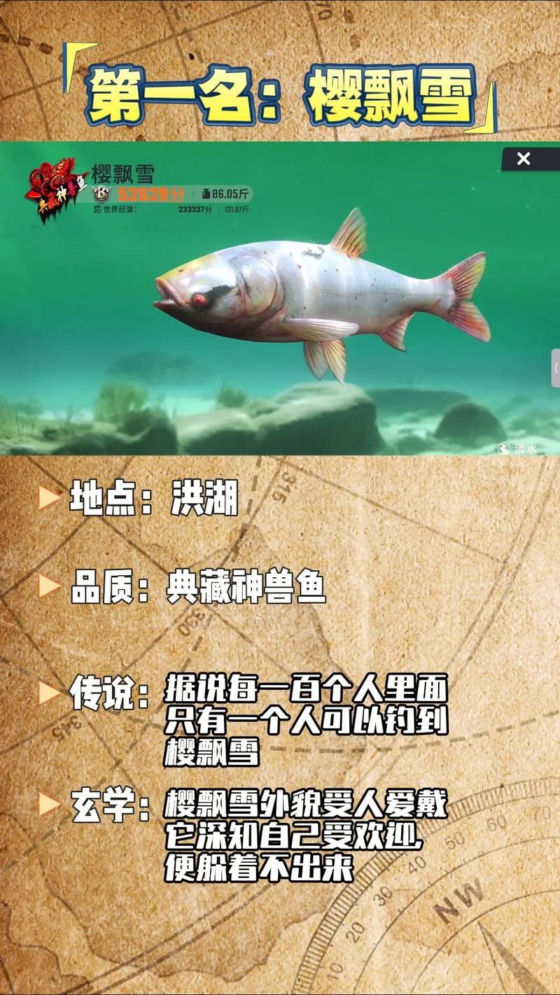 神秘的远东哲罗鱼：你了解它吗？深度解析