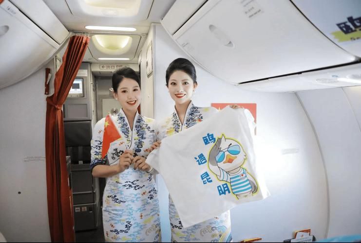 祥鹏航空8L9987：昆明北京航线上的文化盛宴