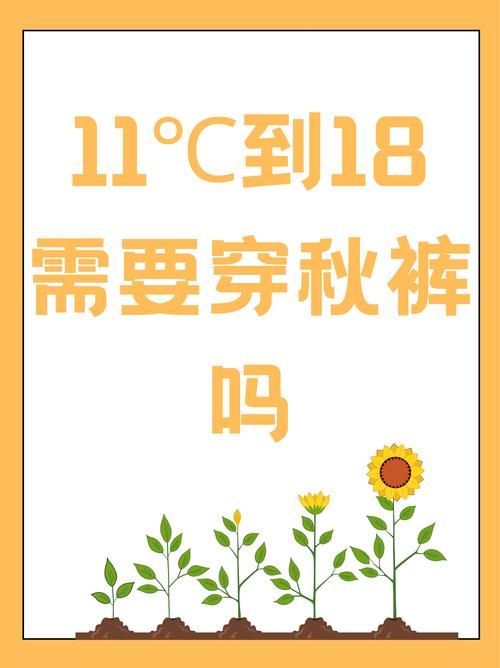 秋天来了快走踏清秋：开启你的健康生活新方式
