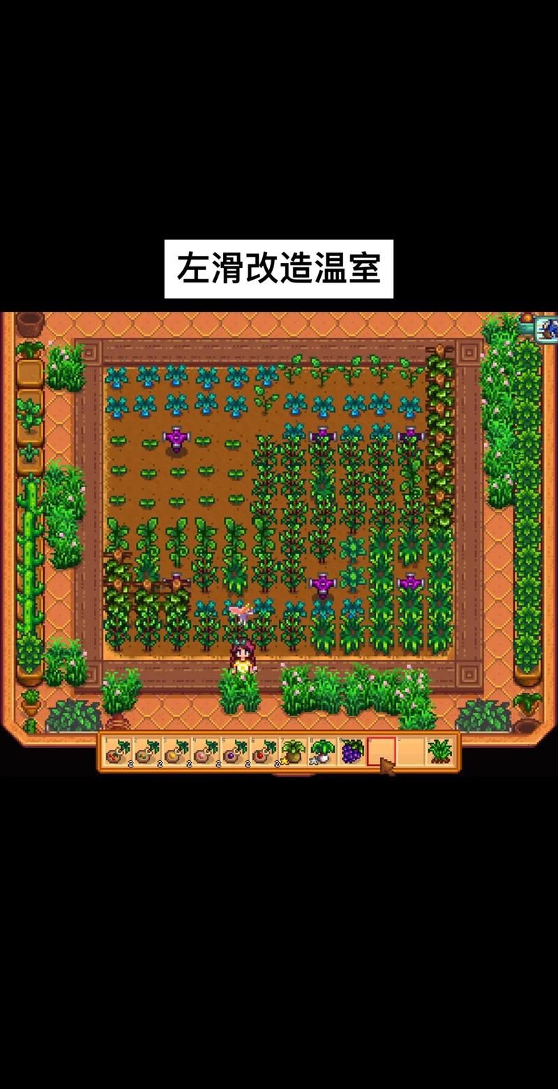 秋天玩星露谷物语种什么好？高产高效作物推荐及种植策略
