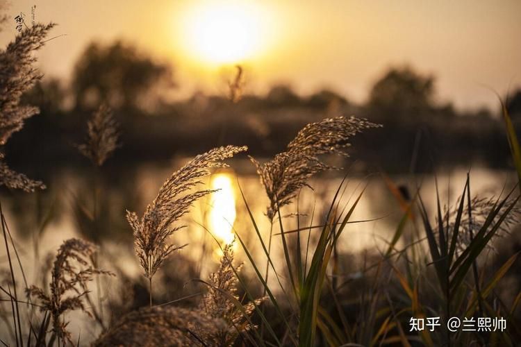秋天的风它不曾见过桃花：歌词含义深度解析
