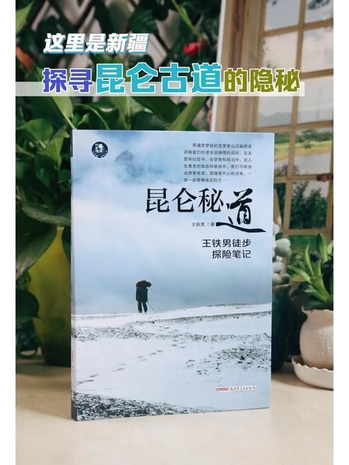 秘密通道入口2号指南：你不知道的观看技巧