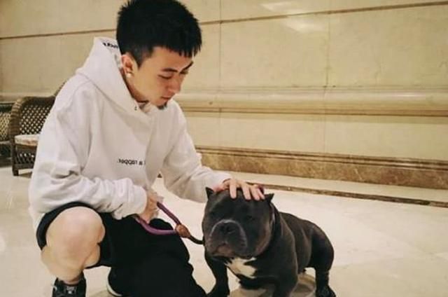 秦奋king的传奇人生：从游戏到商业帝国的崛起之路