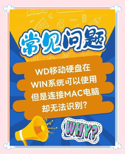 移动硬盘读不出来？可能是这些问题导致的，附解决方法
