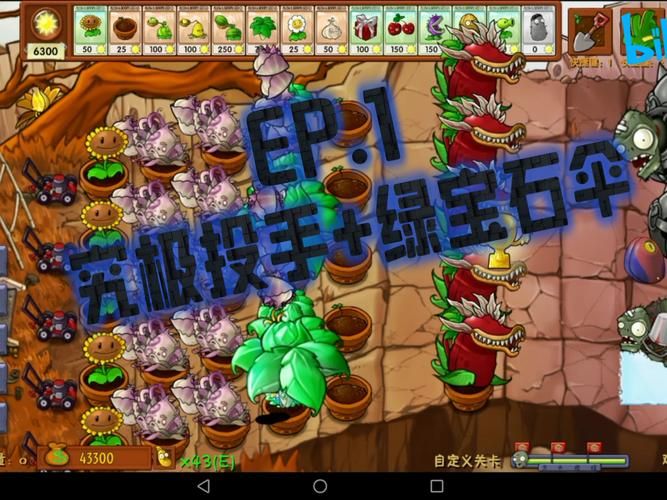 究极绿宝石攻略大全：新手入门到大师之路