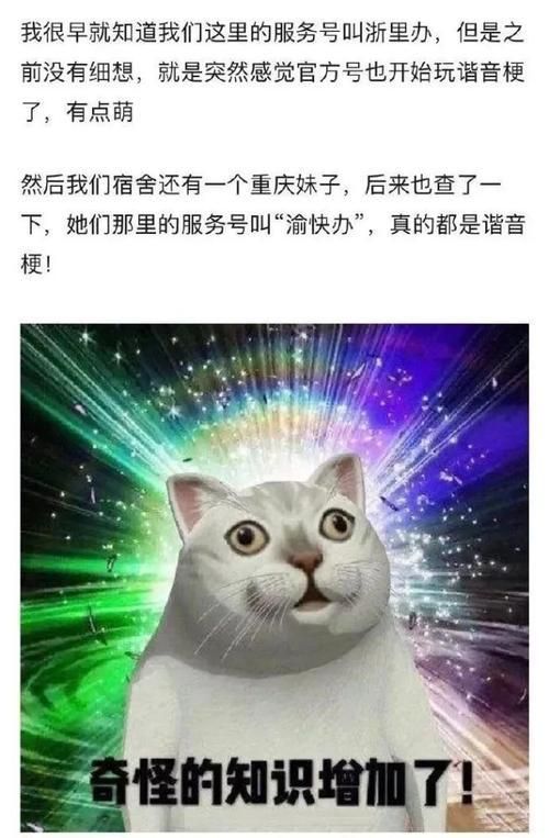 究竟“究极”是什么梗？深度解析其含义及流行文化