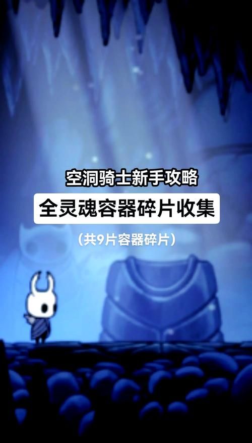 空洞骑士腐臭蛋作用详解：捡回魂和钱的秘密武器