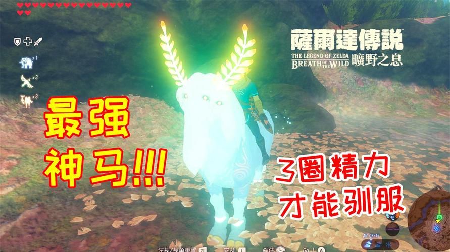 第七大道神曲：揭秘雷纳德王国真相，成为最终的霸主！