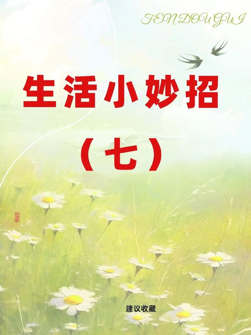 简单百宝箱：生活好帮手，轻松解决你的难题