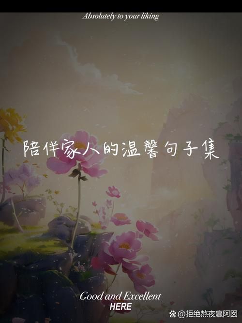 简单的陪伴，温暖的心：感谢这份平淡的幸福